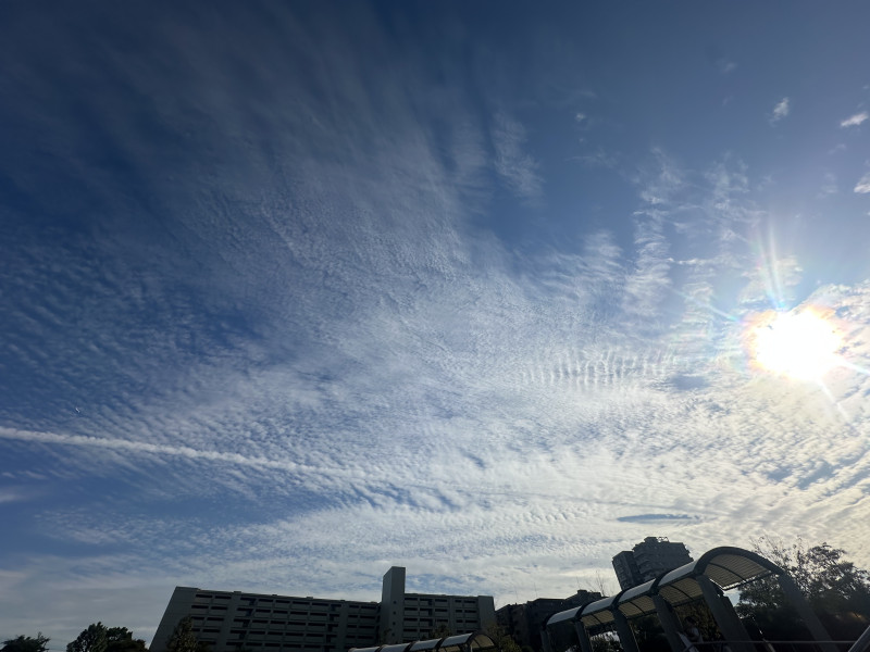 りんかの写メ